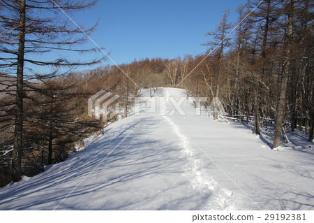 Transfer footprints Transfer footprints 29192381