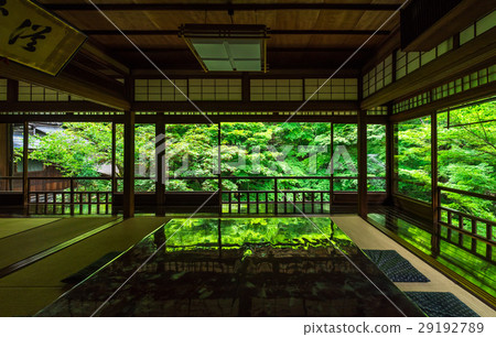Fresh green of Rurikoin Kyoto 29192789