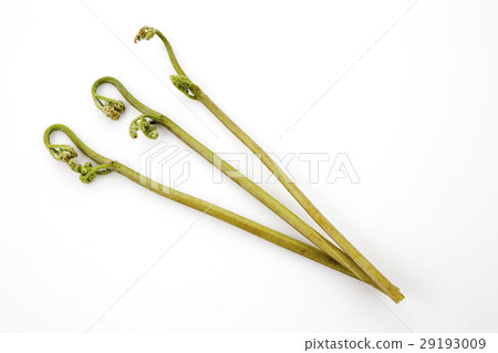 哇哇三個斜的地方 哇哇三個斜的地方 29193009