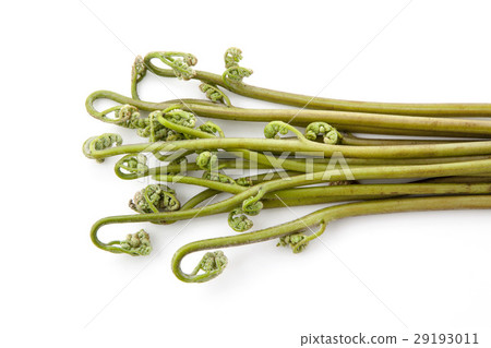 哇哇一堆 哇哇一堆 29193011