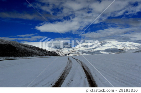 Atacama 29193810