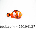 clownfish anemone fish toy on white 29194127