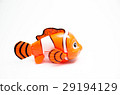 clownfish anemone fish toy on white 29194129