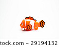 clownfish anemone fish toy on white 29194132