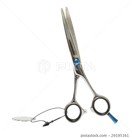professional scissors isolated on white professional scissors isolated on white 29195161