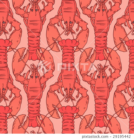 American Lobster, Vector illustration for artwork 29195442