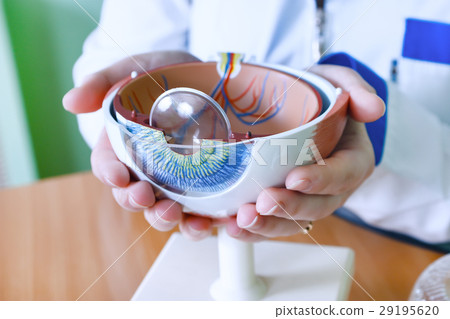 Ophthalmology oculus sample closeup 29195620