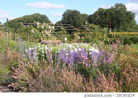 Scandinavian garden 29195824