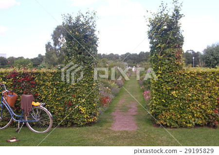 Scandinavian garden 29195829
