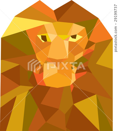 Lion Head Front Low Polygon 29199737