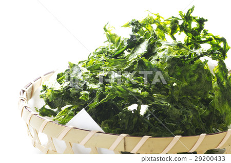 青山膠4 青山膠4 29200433