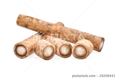 Burdock roots on white background Burdock roots on white background 29208441