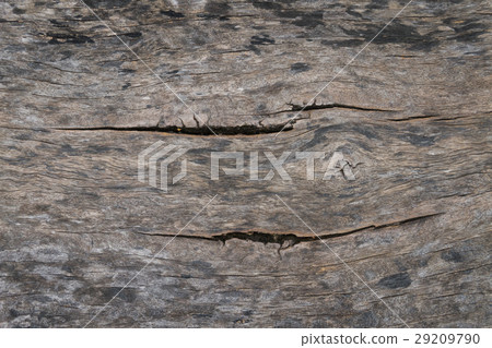 Wood texture 29209790