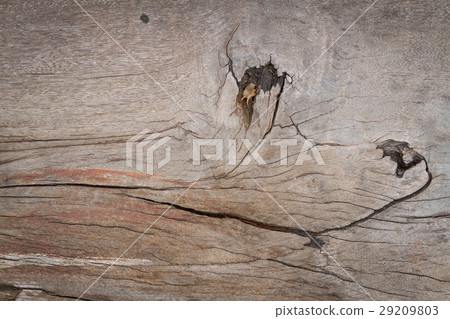 Wood texture 29209803