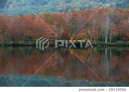 Mirror-like white pond Mirror-like white pond 29210056