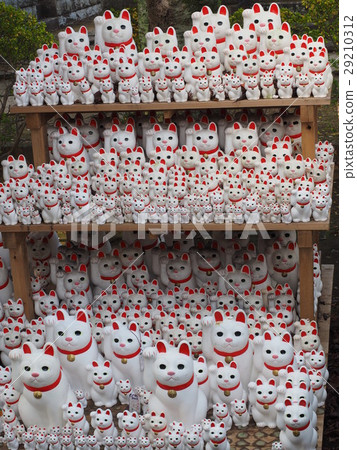 幸運貓 幸運貓 29210312