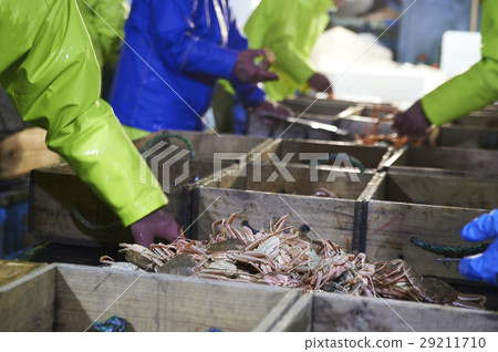 Sea fishing sea crab 29211710