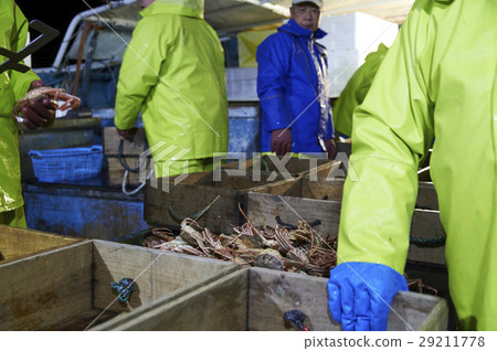 海洋捕撈海螃蟹 海洋捕撈海螃蟹 29211778