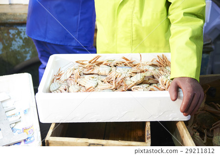 Sea fishing sea crab Sea fishing sea crab 29211812