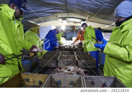 Sea fishing sea crab Sea fishing sea crab 29211814