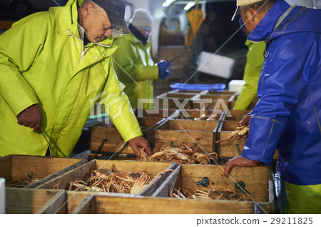 Sea fishing sea crab 29211825