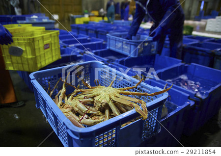 螃蟹批發市場運輸工作 29211854