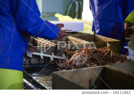 Sea fishing sea crab 29211862