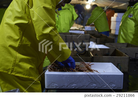 Sea fishing sea crab 29211866