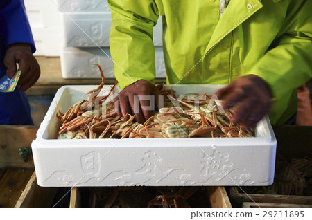 Sea fishing sea crab 29211895