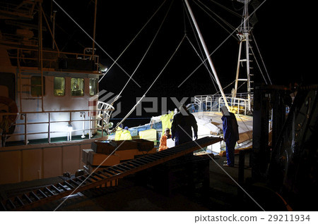 Kuroo港螃蟹漁船港 29211934