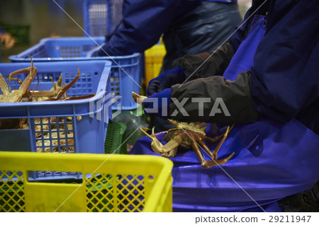 Crab wholesale market shipping work 29211947