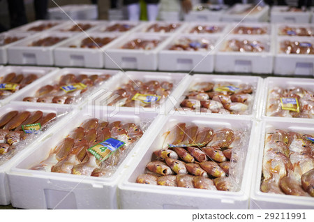Wholesale market shipping work fishery fresh fish 29211991