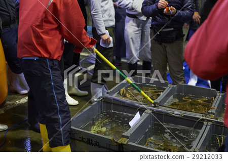 Wholesale market bidding fishery 29212033