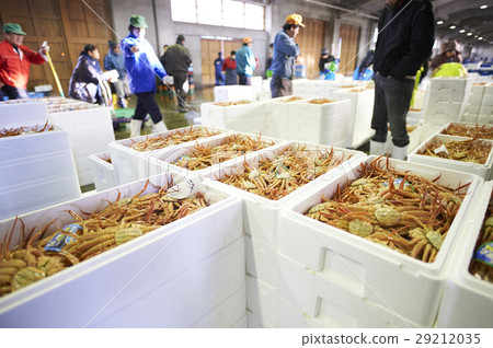 Wholesale market bidding fishery Wholesale market bidding fishery 29212035