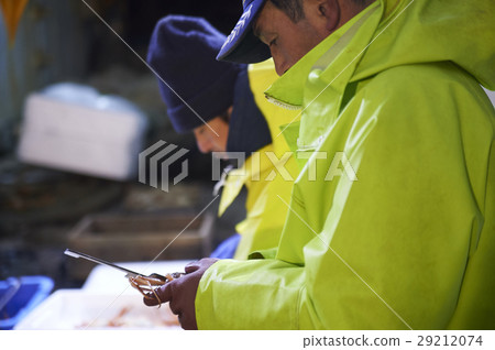 Sea fishing sea crab Sea fishing sea crab 29212074