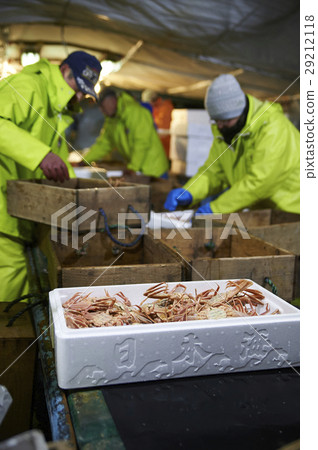 Sea fishing sea crab Sea fishing sea crab 29212118
