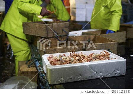 Sea fishing sea crab 29212128