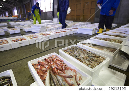Wholesale market shipping work fishery fresh fish 29212195