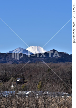 Morning view of Mt. Fuji winter from Tocho Yato Park 29217596