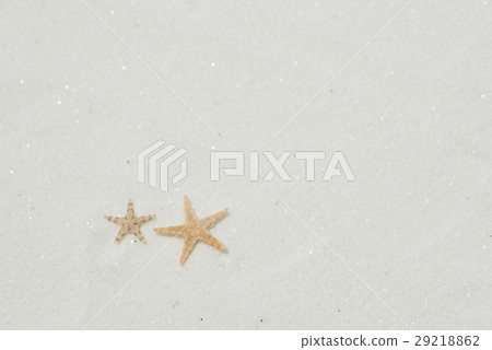 Sand and starfish Sand and starfish 29218862