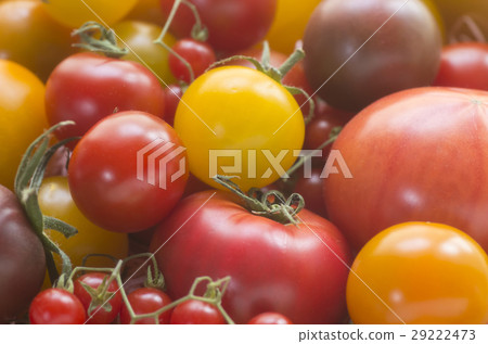 Various kinds of tomatoes 29222473