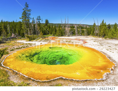 Morning Glory Pool geyser ,Yellowstone np. Morning Glory Pool geyser ,Yellowstone np. 29223427