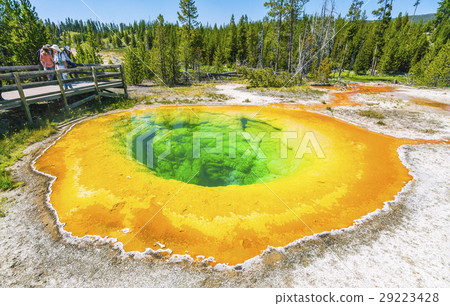 Morning Glory Pool geyser ,Yellowstone np. 29223428