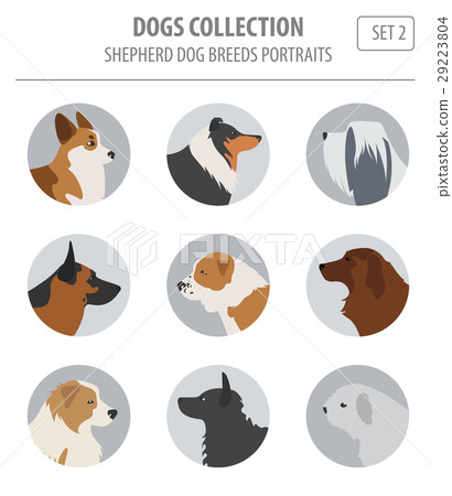 Shepherd dog breeds, sheepdogs collection Shepherd dog breeds, sheepdogs collection 29223804