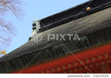 Sumiyoshi Shrine (Fukuoka City Hakata-ku) Shinkansen 29224438