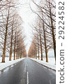 Winter trees 29224582