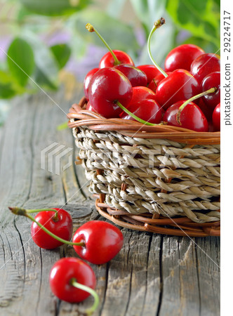 ripe cherries in a basket 29224717