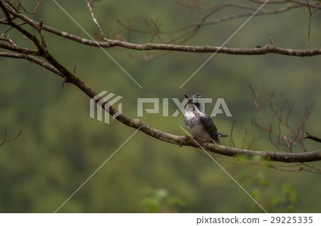 Yamazaki looking up at the flying aircraft 29225335