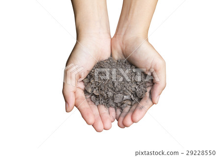 dry soil in hand dry soil in hand 29228550