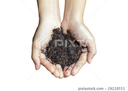 wet soil in hand wet soil in hand 29228551